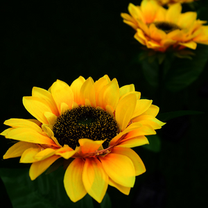 Decorative Solar-Powered Sunflower LED Lamps - Luxitt