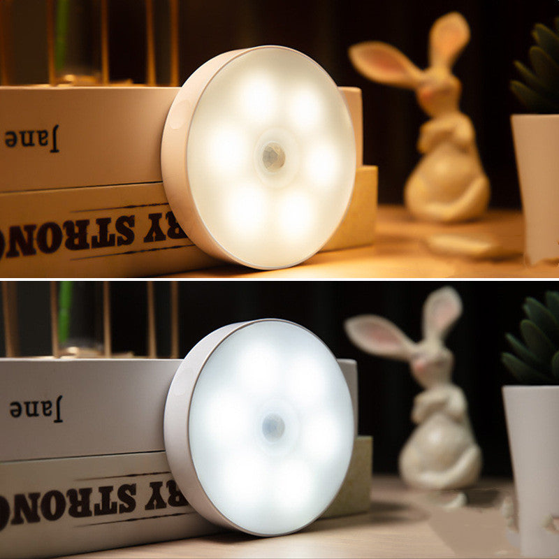 Night Light LED with Human Body Induction - Luxitt