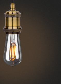 Edison LED Bulb - Luxitt