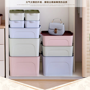 Creative Plastic Underwear Storage Box, Organize Bras and Underwear in Your Wardrobe or Desktop - Luxitt