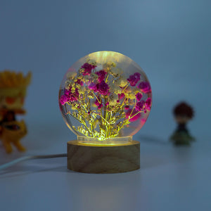 DIY Handmade Dried Flower Rose Starry Sky Small Night Lamp